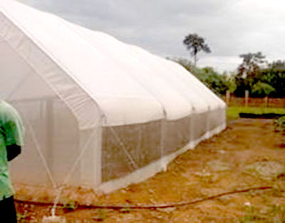 Metallic dome greenhouses 2