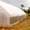 Metallic dome greenhouses 2