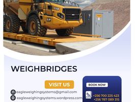 Weig 25