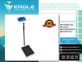 Flyer eaglelast4 01 12