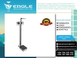 Flyer eaglelast4 01 09