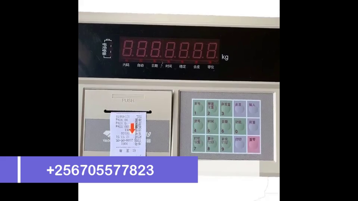 Vlcsnap 2024 07 05 12h26m09s494