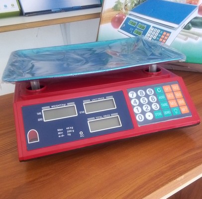 Img 20250923 124737 334