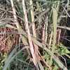 Img 20250506 wa0065