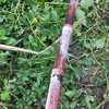 Img 20250506 wa0061