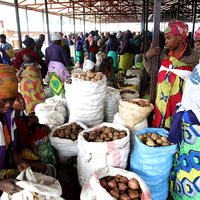 1413843785women sell potatoes in byangabo market in musanze district last may
