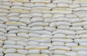 Maize