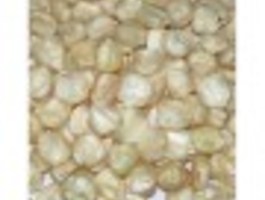 White maize 250x2502 0x90