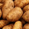 Depositphotos 29982489 stock photo russet potatoes close up
