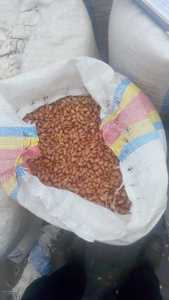 Img 20210906 wa0001
