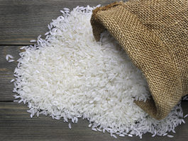 Rice adobestock 64819529 e