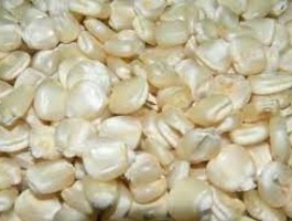 White maize