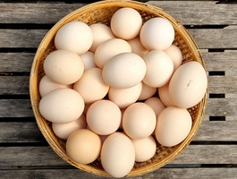 Bynature why free range eggs blog