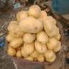 Img 20231027 wa0002