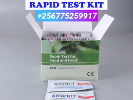 Aflatoxin rapid test kit in kampala uganda 6