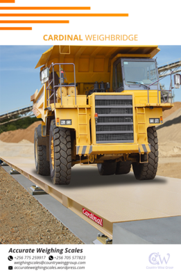 Cardinal weighbridge 8 png 2