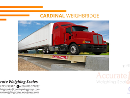 Cardinal weighbridge 3 png
