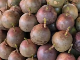 Screenshot 20251213 130144 tiktok