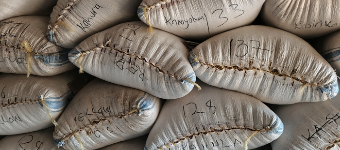 Img 20251127 180451 131