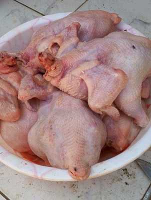 Whatsapp image 2026 01 25 at 3.38.50 pm