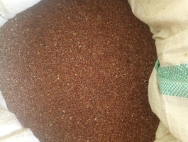 Img 20251209 141945 978