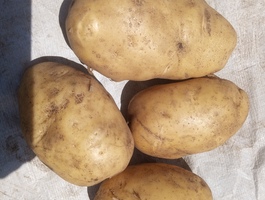 Img 20260123 122702 159