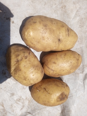 Img 20260123 122702 159