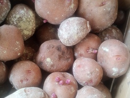 Img 20260219 134018 365