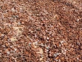 Screenshot 20260422 222237 2