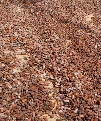 Screenshot 20260422 222237 2