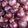 Russet