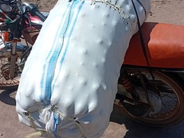 Img 20260812 wa0001