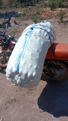 Img 20260812 wa0001