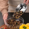 Stainless steel grain scoops %2811%29