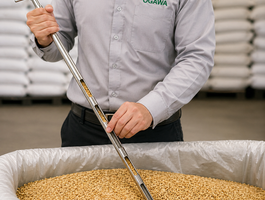 Grain sampling spears %286%29