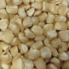 Fresh maize 500x500