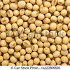 Macro of dry organic soya beans stock photograph csp22809593