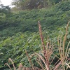 Img 20231203 172543 503