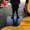 Platform weighing scales 2
