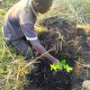 Planting 20 000 trees by 2022