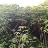 Img 20231203 171840 984
