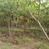 Img 20231203 171143 744