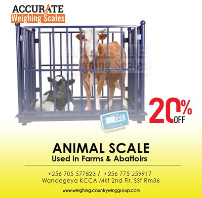 Animal scale 12