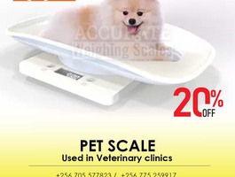 Pet scale 3
