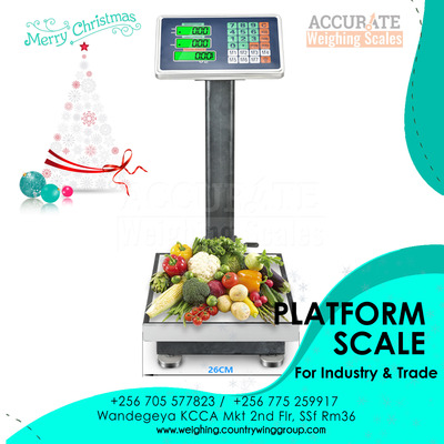 Platform weighing scale 25