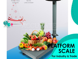 Platform weighing scale 36