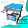 Platform weighing scale 18