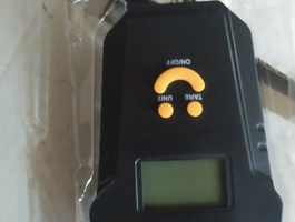 Kimg1154