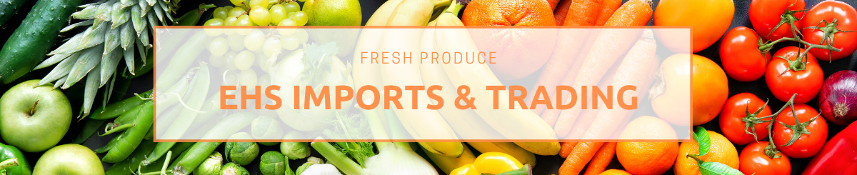 Copy of ehs imports   tradingbanner