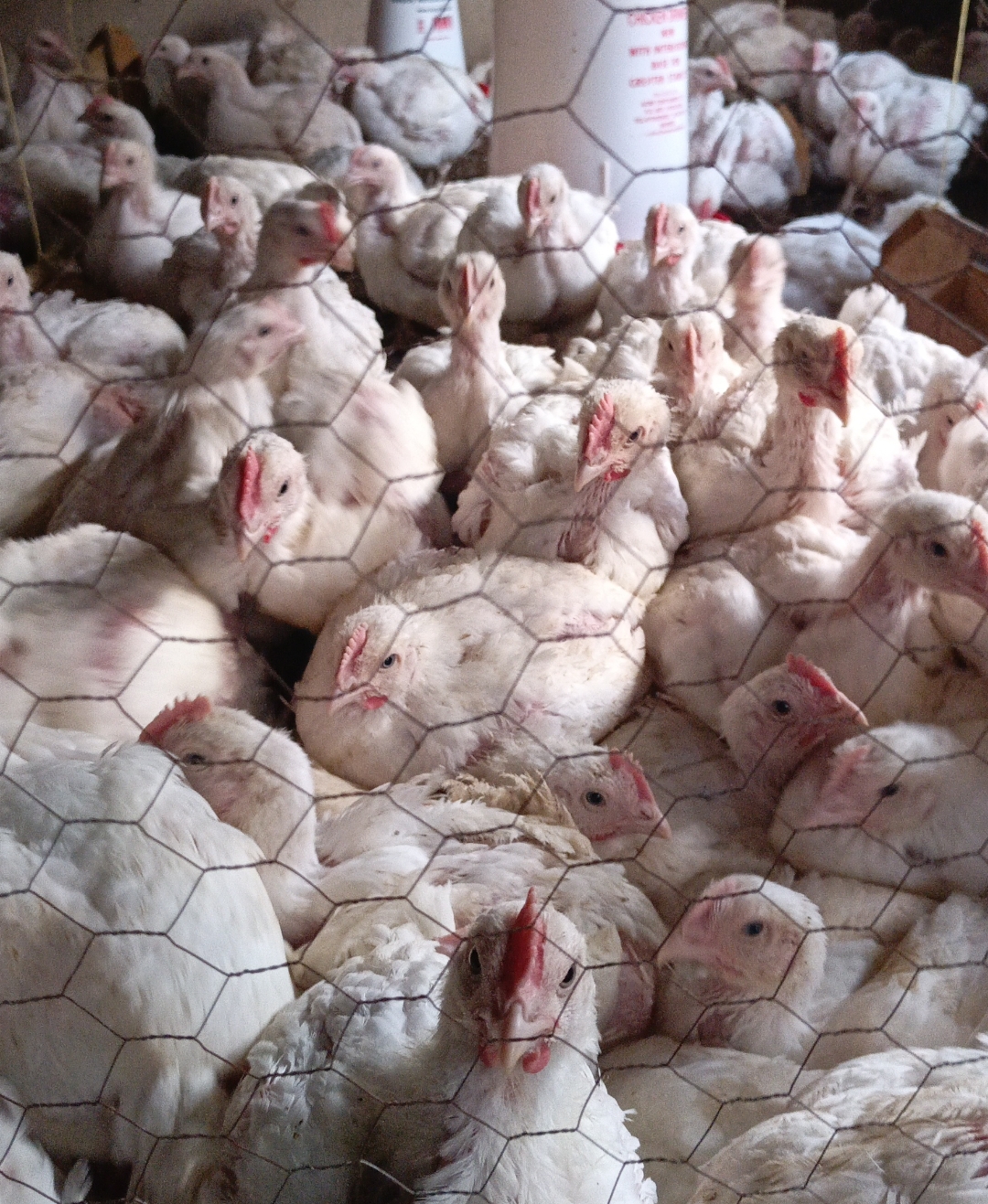 Screenshot 20250927 124523